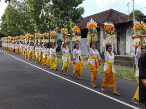 Mepeed dalam rangka Karya Ngusaba di Pura Ulun Subak Bukit Jati